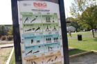 New fitness equipment along the Four Mile Run Trail near Shirlington