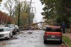 Tree down over 6th Street S. near the intersection with S. Buchanan Street. The same street suffered similar damage during the derecho.