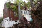 Two trees fell in the backyard of a home in Arlington Forest. One fell on the home itself.