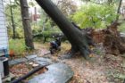 Two trees fell in the backyard of a home in Arlington Forest. One fell on the home itself.