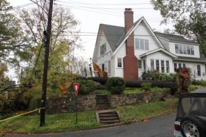 Neighbors look at a large tree that fell in the front yard of a home in Lyon Park