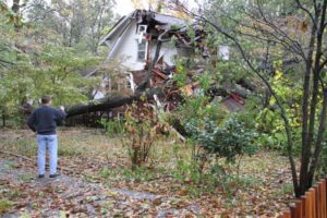 A tree came crashing through a house on the 2800 block of 2nd Road N. in Lyon Park. Four people were at home at the time; all escaped unscathed.