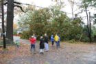 A tree came crashing through a house on the 2800 block of 2nd Road N. in Lyon Park. Four people were at home at the time; all escaped unscathed.