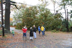 A tree came crashing through a house on the 2800 block of 2nd Road N. in Lyon Park. Four people were at home at the time; all escaped unscathed.