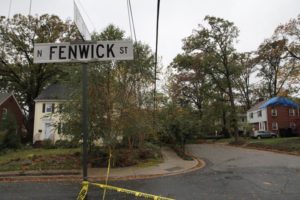 A tree down across a road in Lyon Park