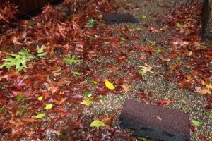 Shingles torn from townhomes in Ballston