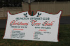 Arlington Optimist Club Christmas tree sale