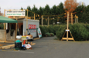 Arlington Optimist Club Christmas tree sale