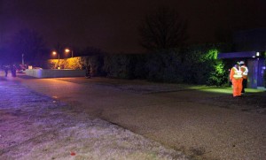 A car crashed through a row of bushes next to the entrance to the Arlington National Cemetery Metro station