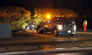 A car crashed through a row of bushes next to the entrance to the Arlington National Cemetery Metro stationA car crashed through a row of bushes next to the entrance to the Arlington National Cemetery Metro station