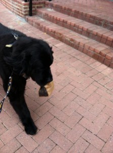 Starr Carrying Best Buns_462x619