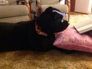 Starr Reading_825x616
