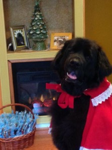 Starr with her Christmas gifts to the children_462x619