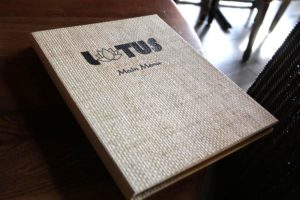 Lotus Vietnamese Grill & Noodles in Shirlington