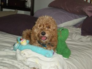 Buster