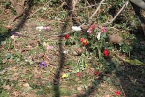 Makeshift memorial at fatal crash site in Rosslyn