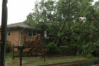 Tree down in front of a house on Old Glebe Road (photo courtesy @Sir_Rock13oy)