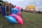 Arlington County Fair 2013