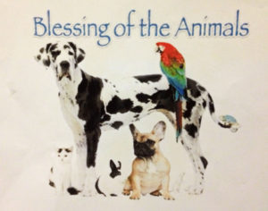 Blessing-of-animals