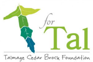 T for Tal Foundation logo