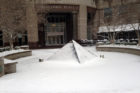 Snowstorm hits Arlington 1/21/14