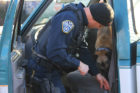 ACPD K-9 team Ozzie and Cpl. Dave Torpy investigating a drug cal