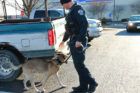 ACPD K-9 team Ozzie and Cpl. Dave Torpy investigating a drug call
