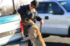 ACPD K-9 team Ozzie and Cpl. Dave Torpy investigating a drug call