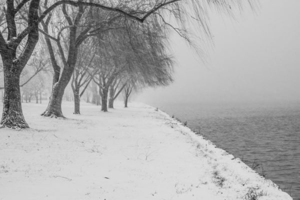Snowy Potomac shoreline (Flickr pool photo by Wolfkann)