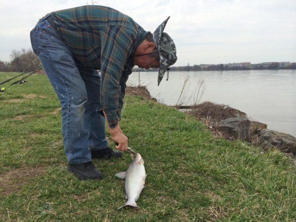 A fisherman removed the hook from his catch at Gravelly Point