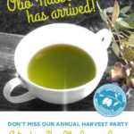 Olive Harvest Party