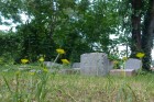 Family graveyard (photo via Preservation Arlington)
