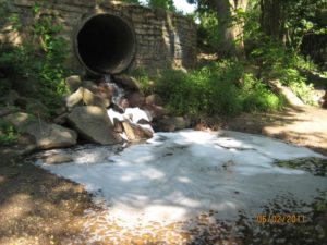 Soap suds in a waterway in Bluemont (photo courtesy Arlington County)