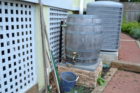A barrel collects rain water that Wientzen uses on her garden.