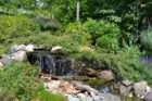 The water feature in Susan Murnane's second place garden.