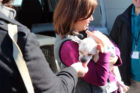 AWLA Communications Director Kerry McKeel holds Billy as he gets a treat
