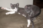 Bo and Lane
