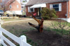 A woodland creatures carving in Douglas Park, on 19th Street S.