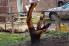 A woodland creatures carving in Douglas Park, on 19th Street S.