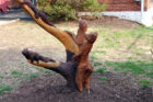 A woodland creatures carving in Douglas Park, on 19th Street S.