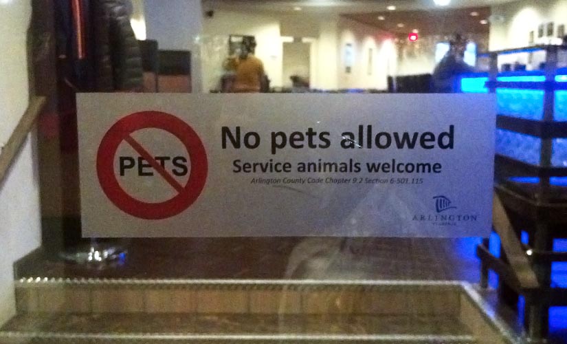Pets allowed. Sorry Sir no Pets allowed.