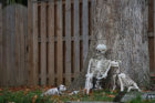 Halloween decorations on 15th Street N.