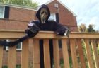 Halloween decoration on S. Frederick Street