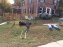 Halloween decoration on S. Frederick Street