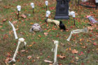 Halloween decorations of N. Jackson Street