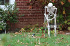 Halloween decorations on 15th Street N.