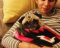 Igor Pet of the Week