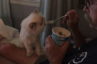Etta Pet of the Week