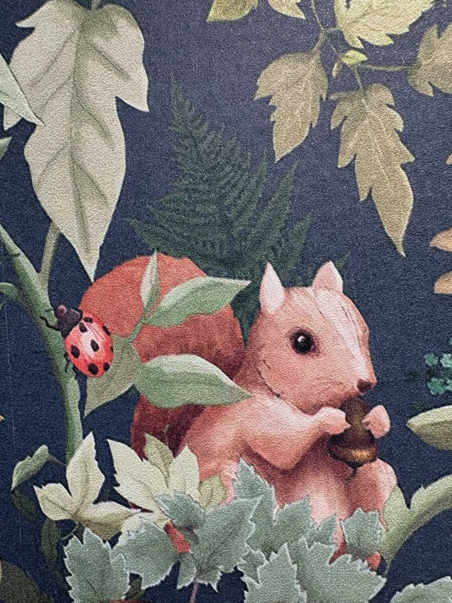 Image from LadyBug Academy Arlington Opening Announcement