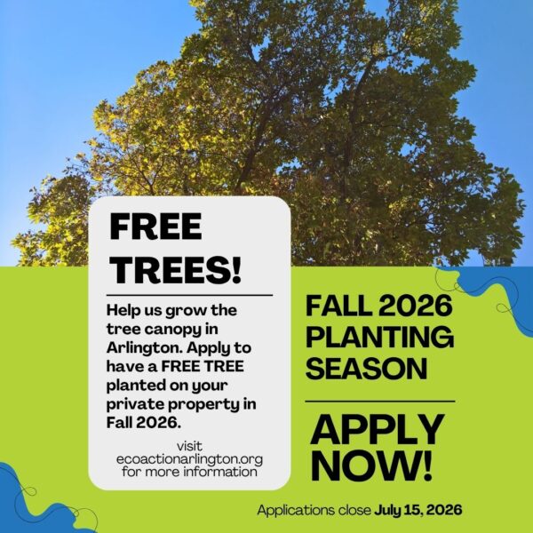 Image from Apply for a Free Tree; Fall 2026 Tree Planting Now Open